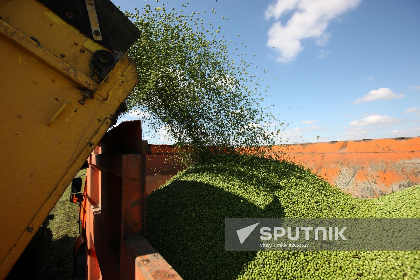 Legume conservation at Bonduelle-Kuban enterprise