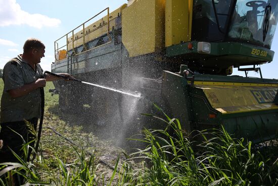Legume conservation at Bonduelle-Kuban enterprise
