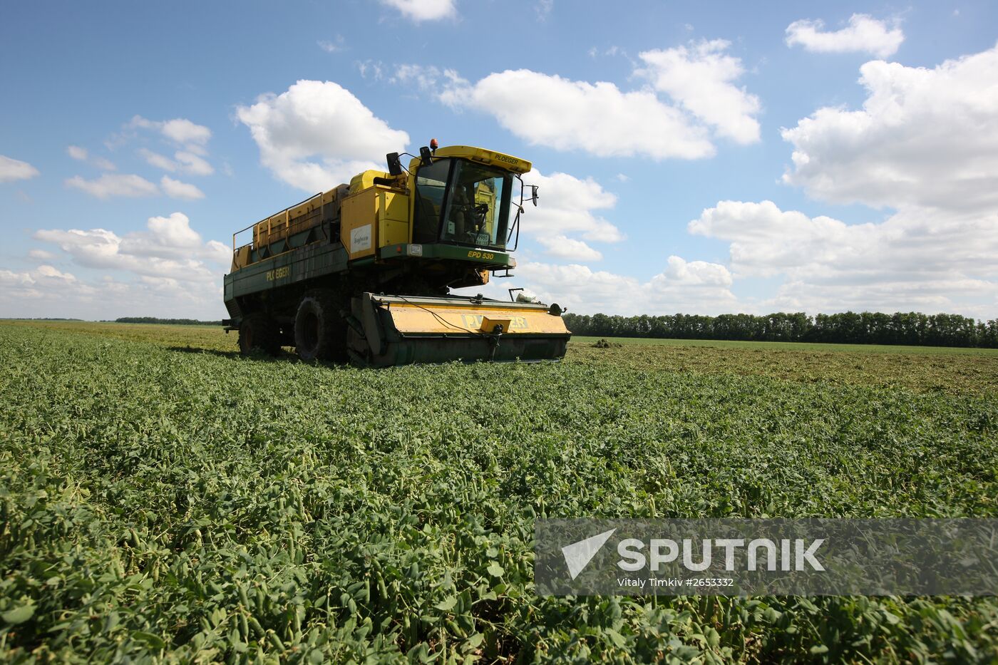 Legume conservation at Bonduelle-Kuban enterprise