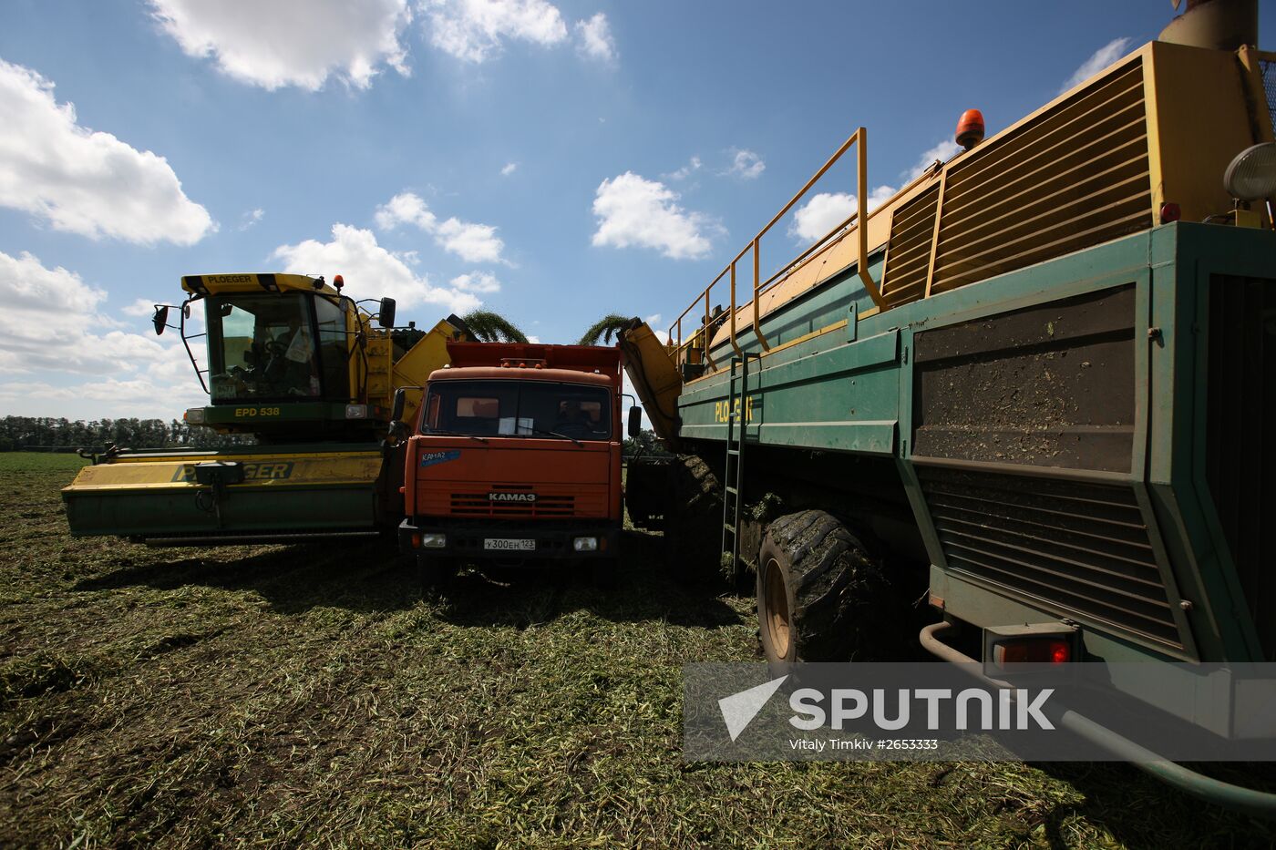 Legume conservation at Bonduelle-Kuban enterprise