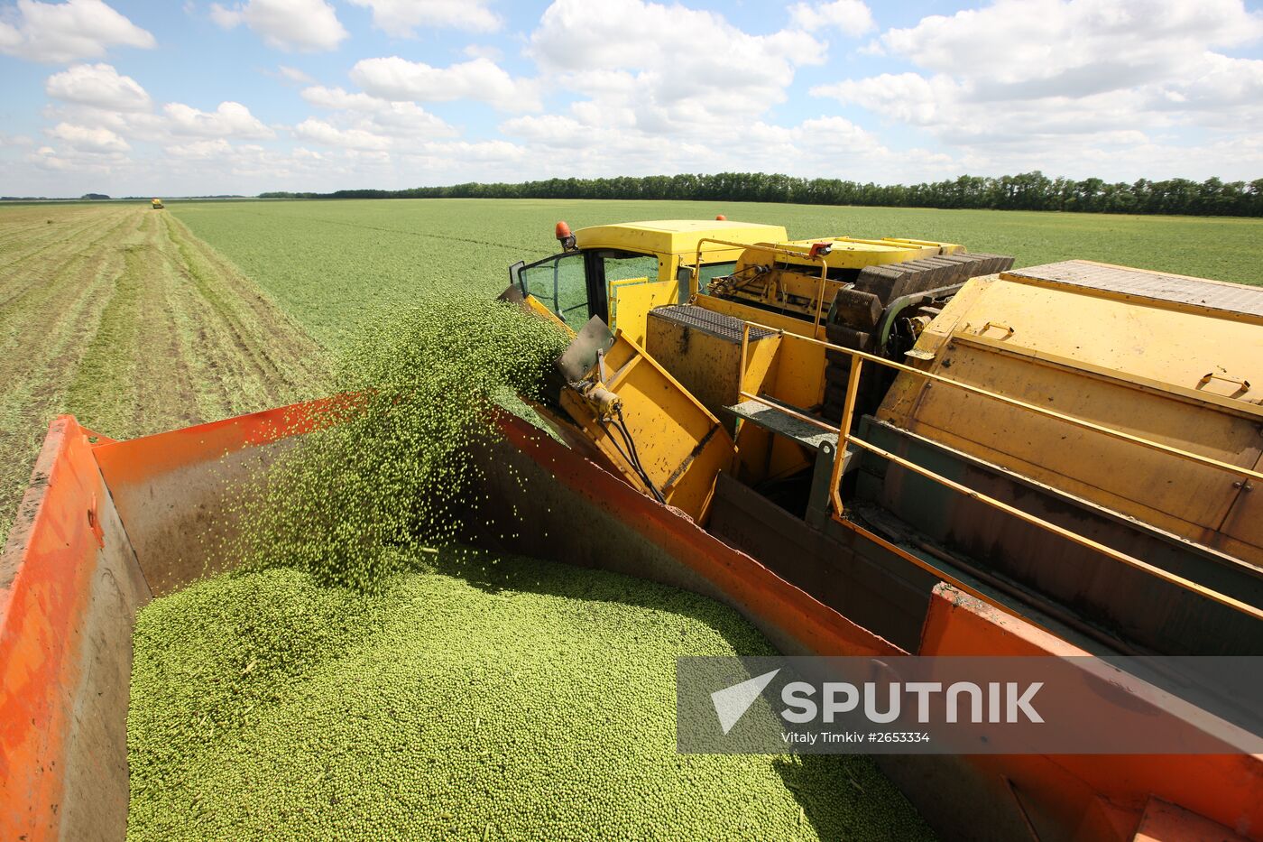 Legume conservation at Bonduelle-Kuban enterprise