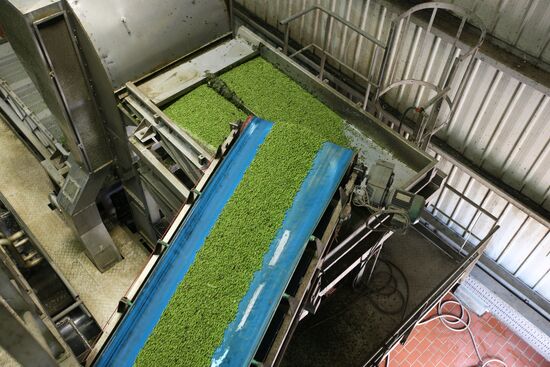 Legume conservation at Bonduelle-Kuban enterprise