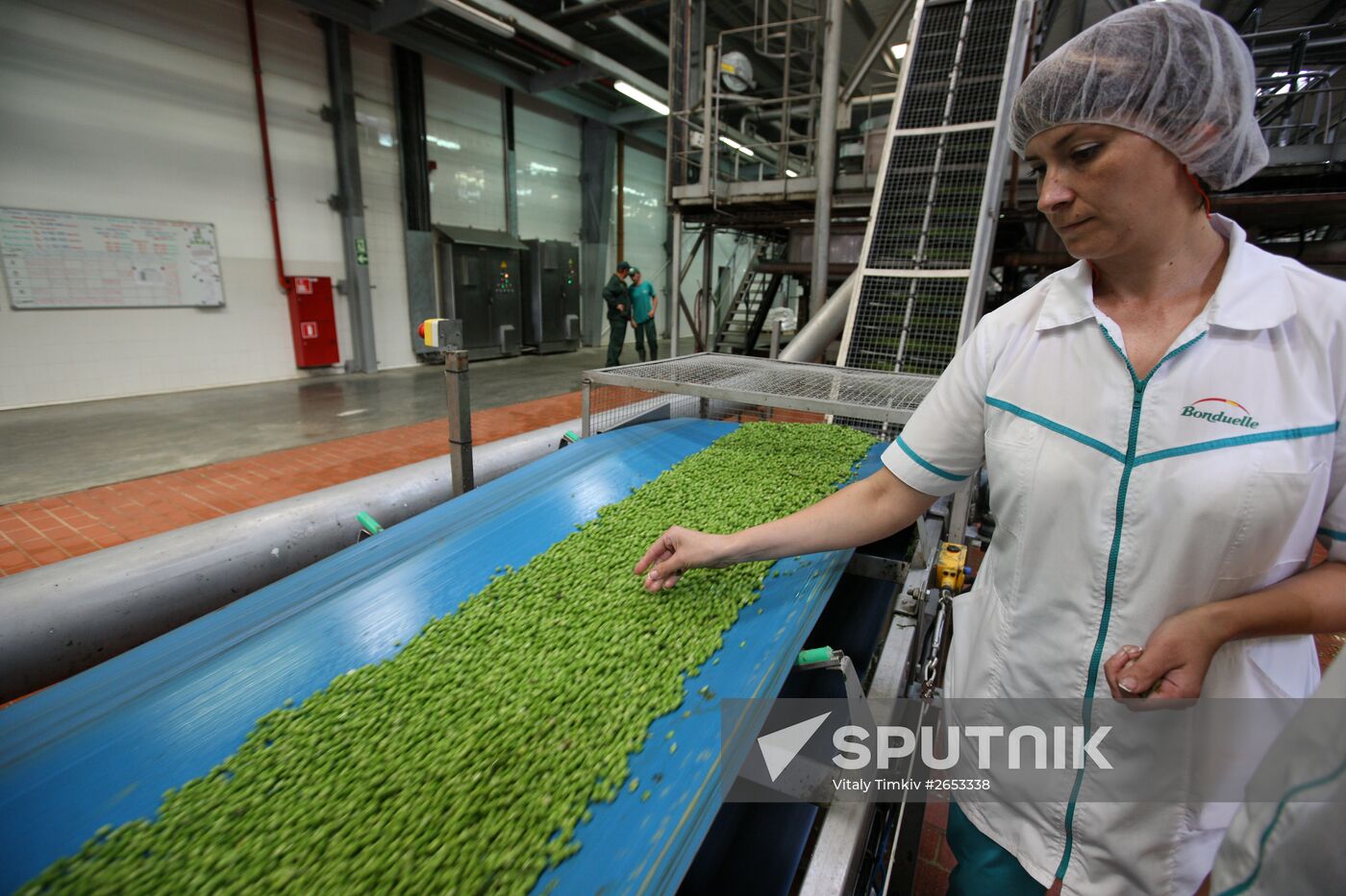 Legume conservation at Bonduelle-Kuban enterprise
