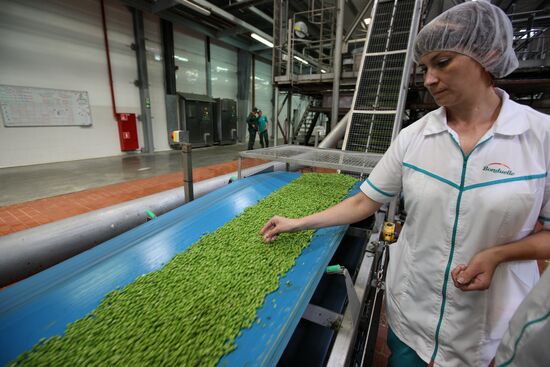Legume conservation at Bonduelle-Kuban enterprise