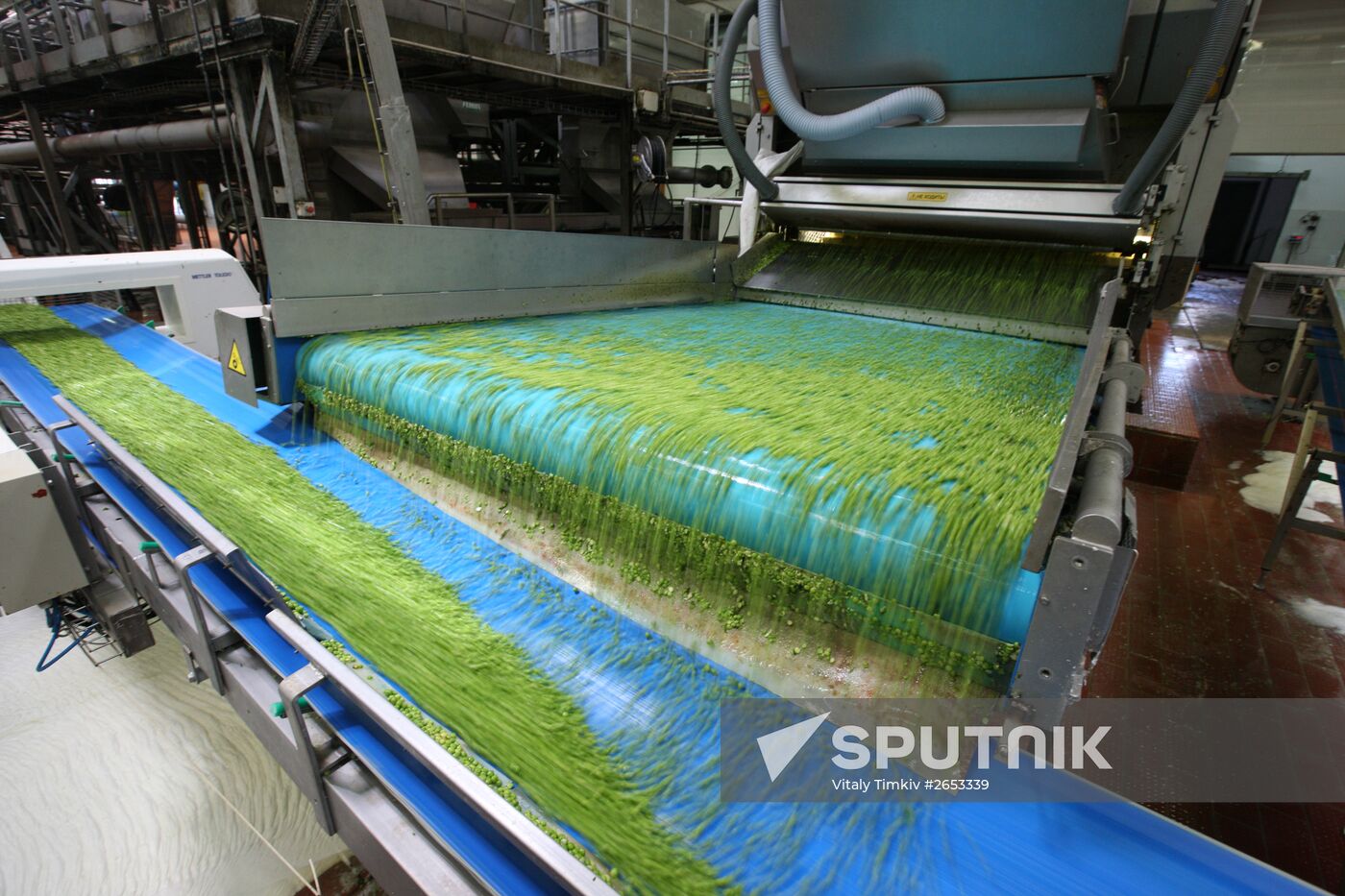 Legume conservation at Bonduelle-Kuban enterprise