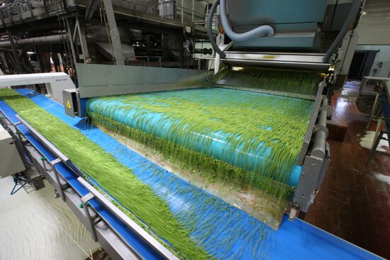 Legume conservation at Bonduelle-Kuban enterprise