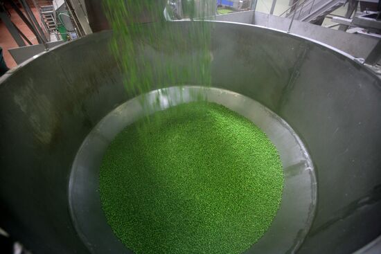 Legume conservation at Bonduelle-Kuban enterprise