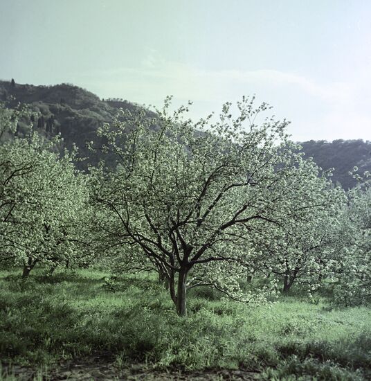 Medeo mountain area