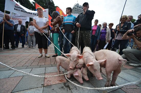 Protests in Kiev