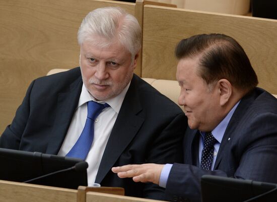 State Duma plenary meeting