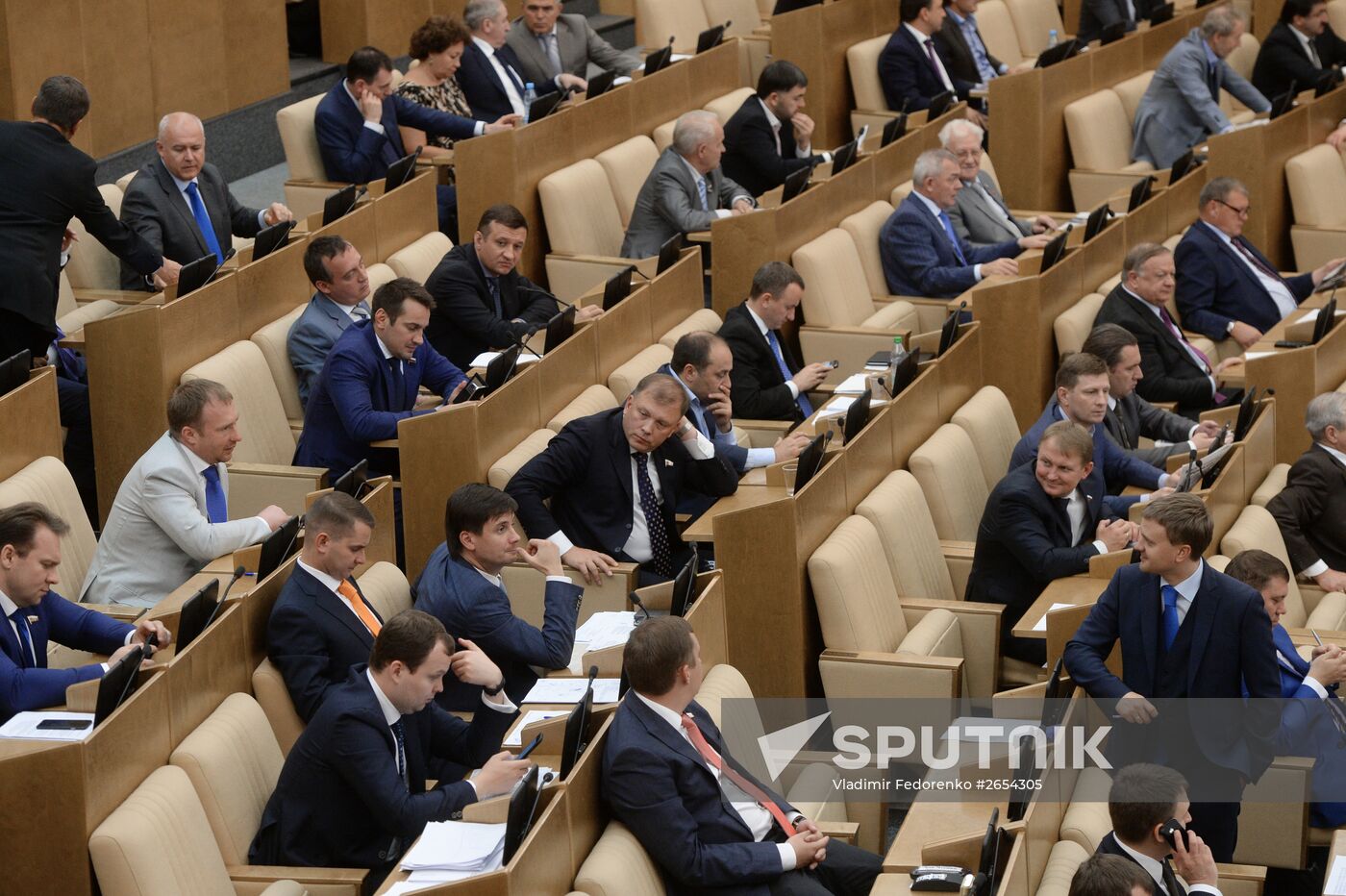 State Duma plenary meeting