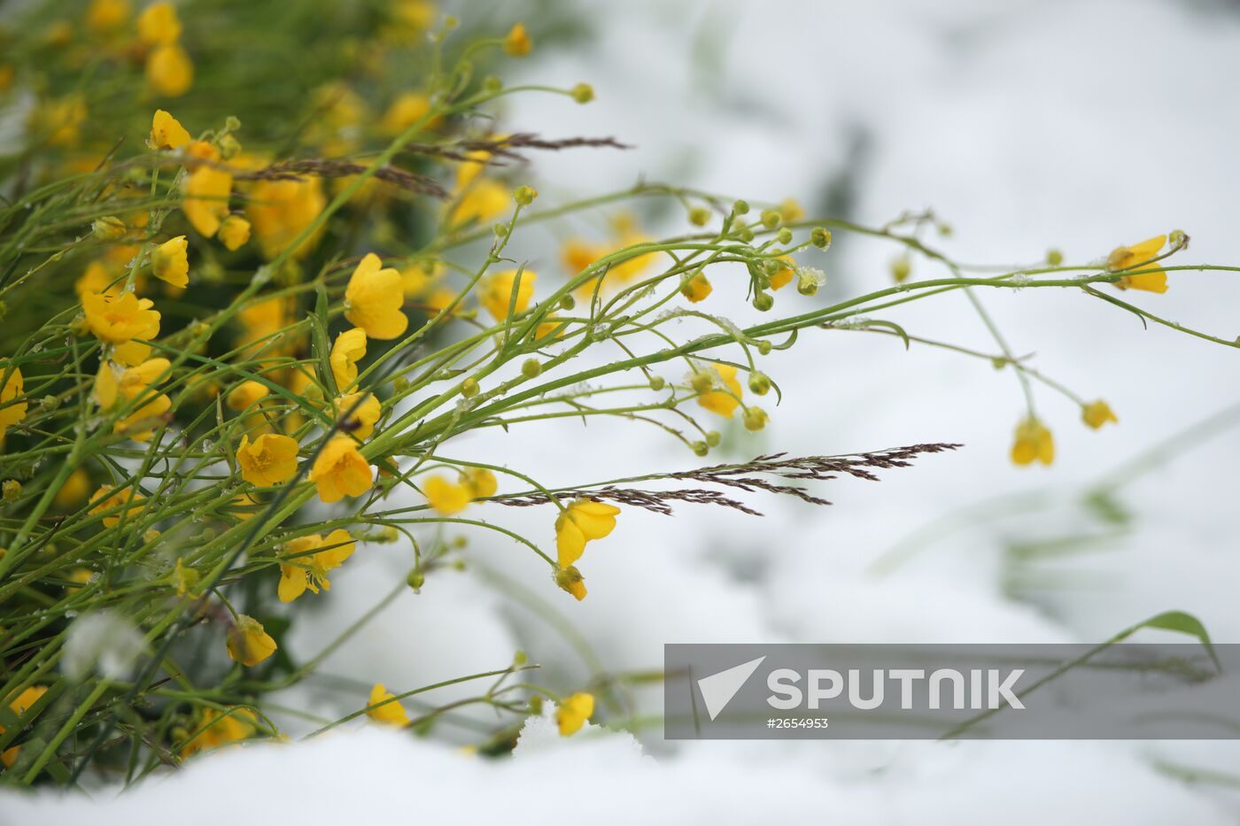 Snow in Vorkuta