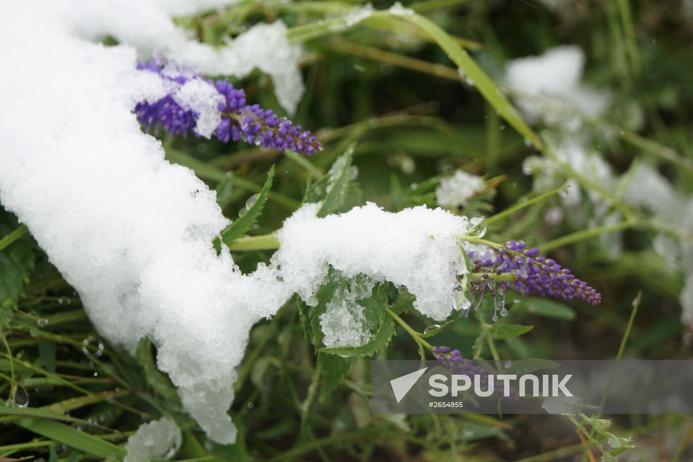 Snow in Vorkuta