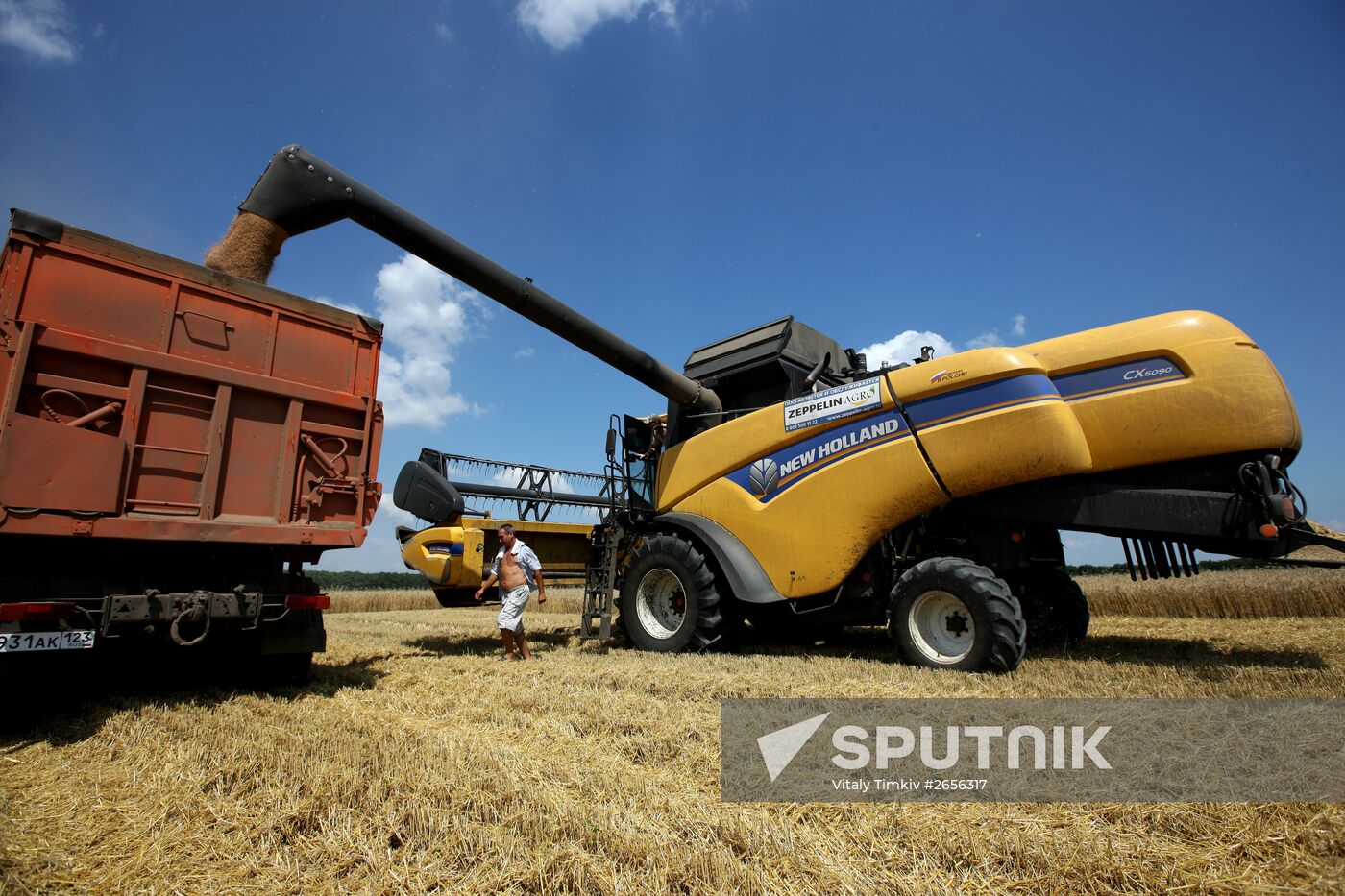 Grain harvest in Russia's south