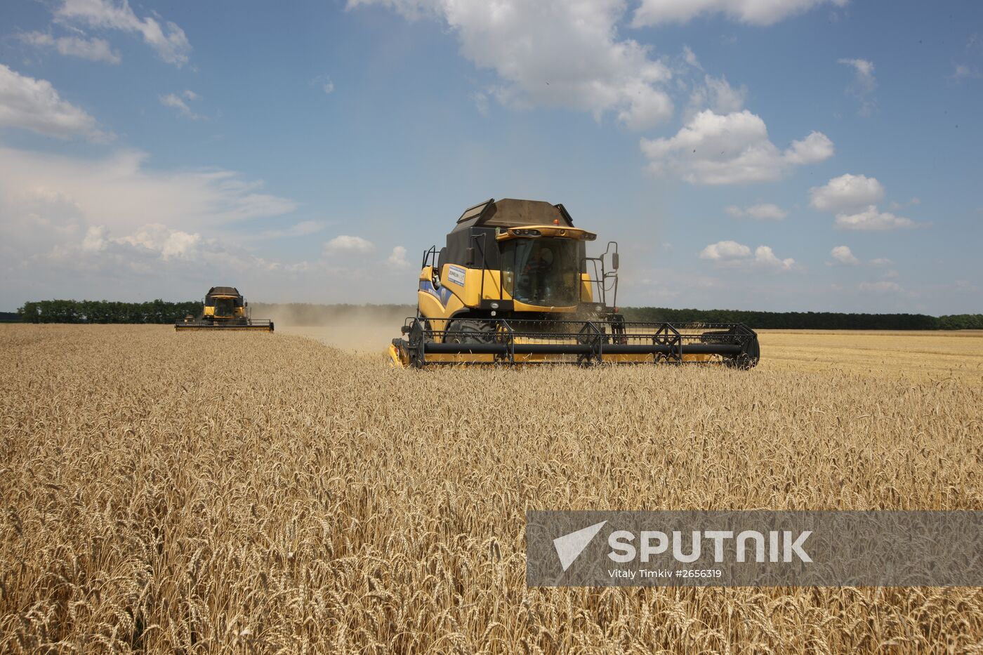 Grain harvest in Russia's south