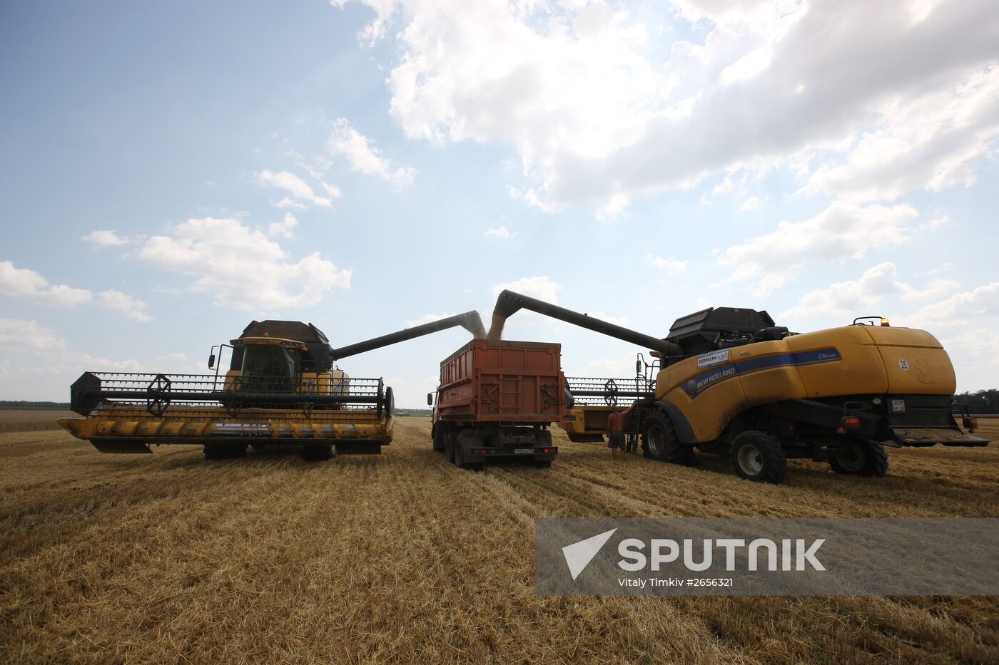 Grain harvest in Russia's south