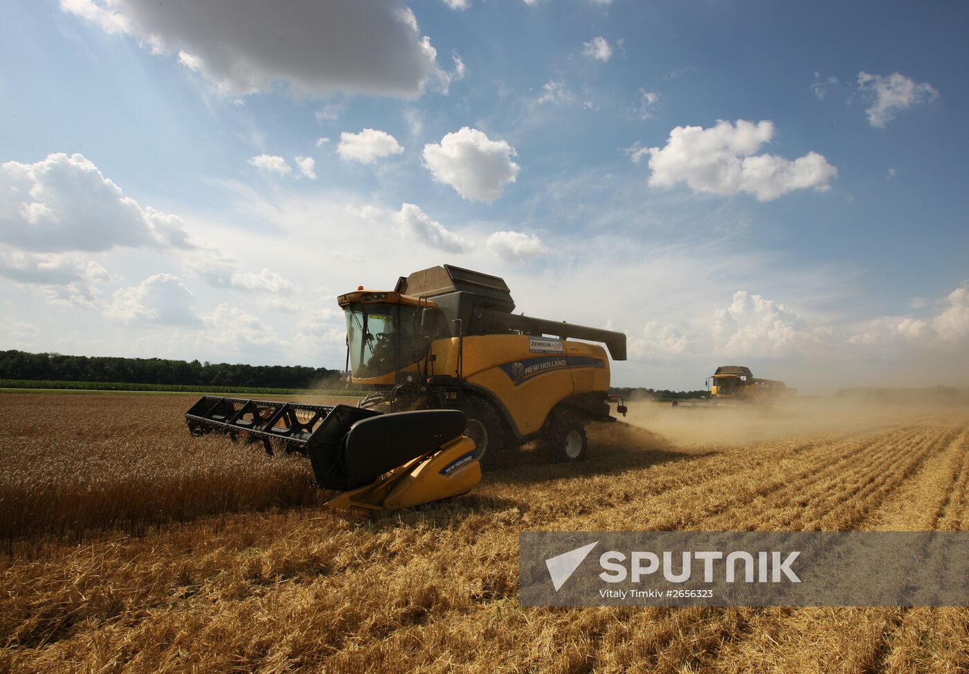Grain harvest in Russia's south