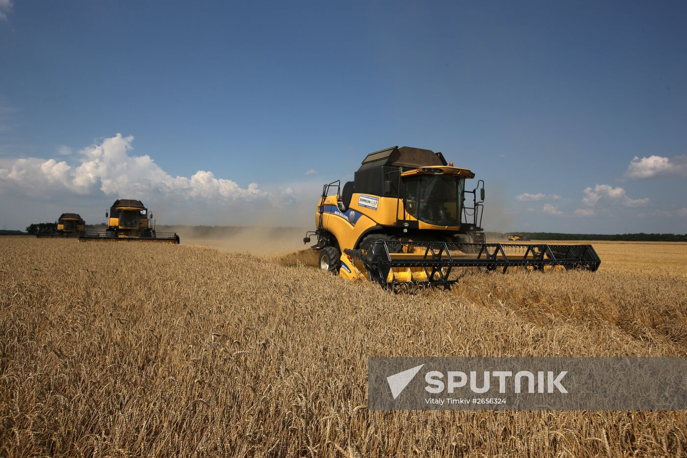 Grain harvest in Russia's south