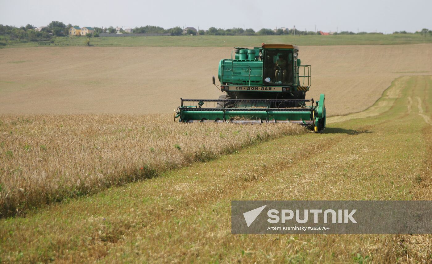 Grain harvest in Russia's south