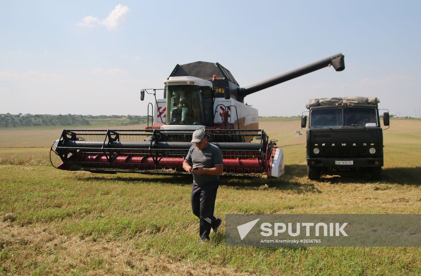 Grain harvest in Russia's south