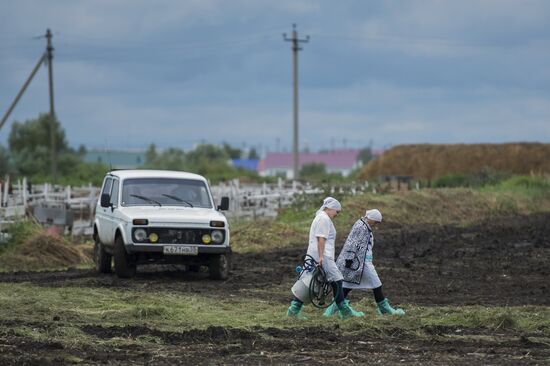 Contest of milkmaids in Omsk Region
