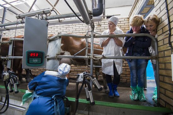 Contest of milkmaids in Omsk Region