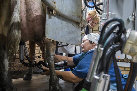 Contest of milkmaids in Omsk Region