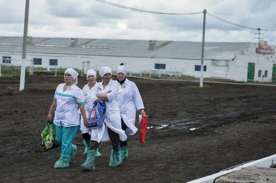 Contest of milkmaids in Omsk Region
