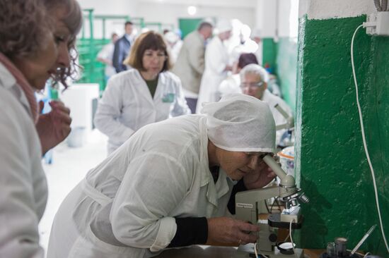 Contest of milkmaids in Omsk Region