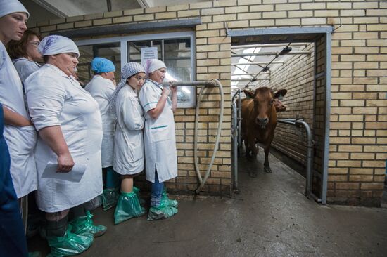 Contest of milkmaids in Omsk Region