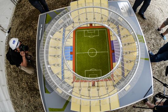 Redesigning Tsentralny (Central) Arena for 2018 World Cup