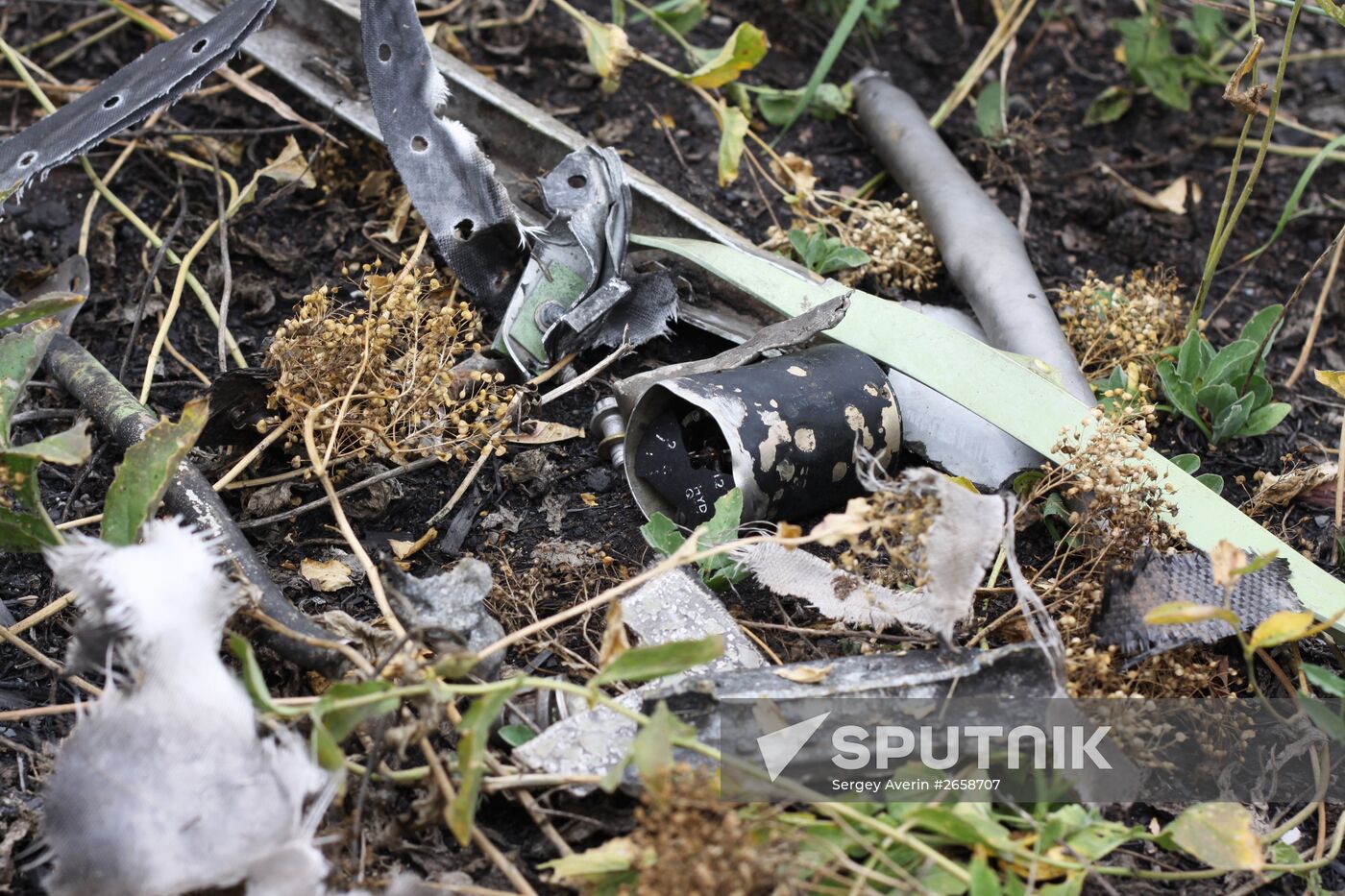Crash site of Malaysia Airlines Boeing 777