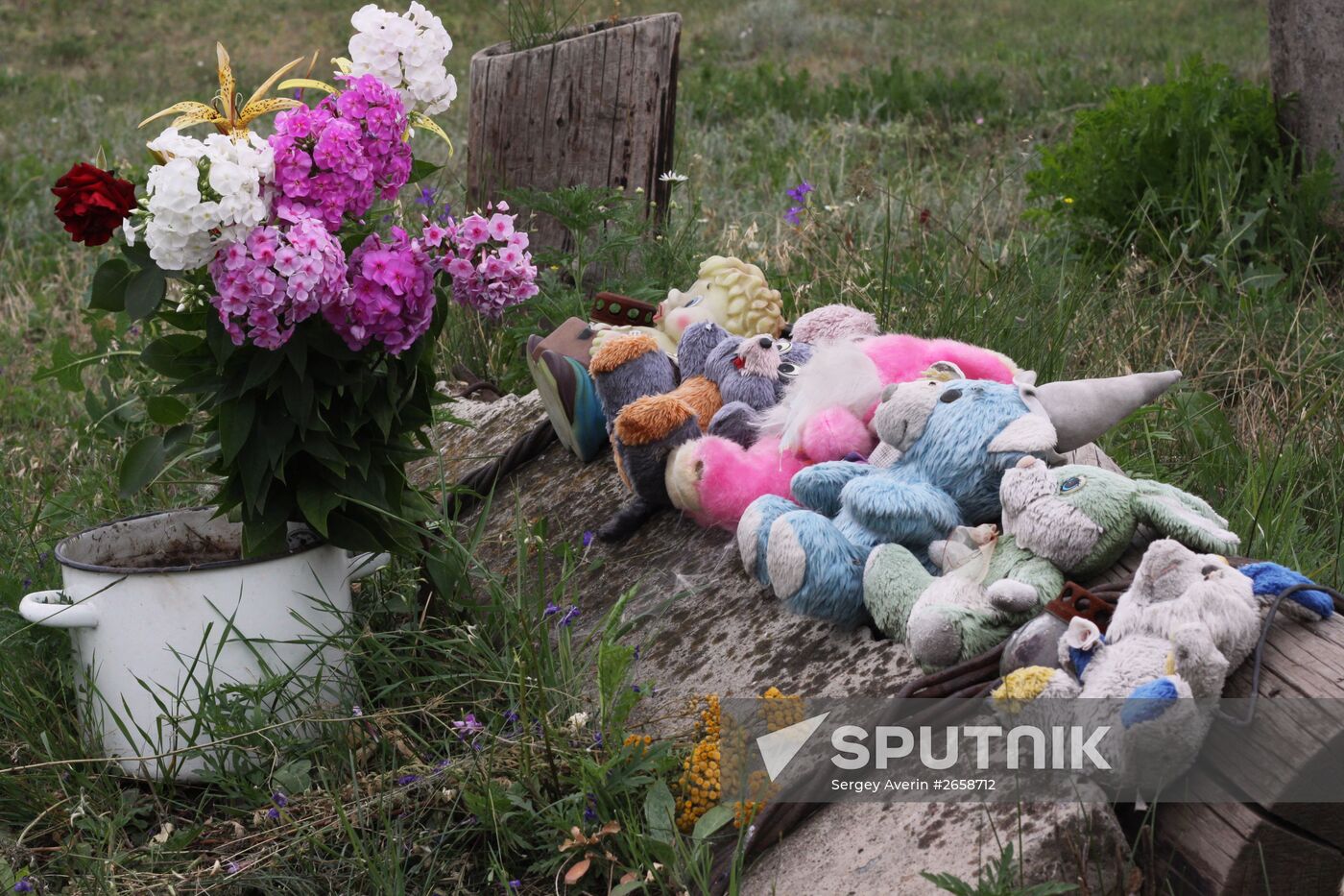 Crash site of Malaysia Airlines Boeing 777