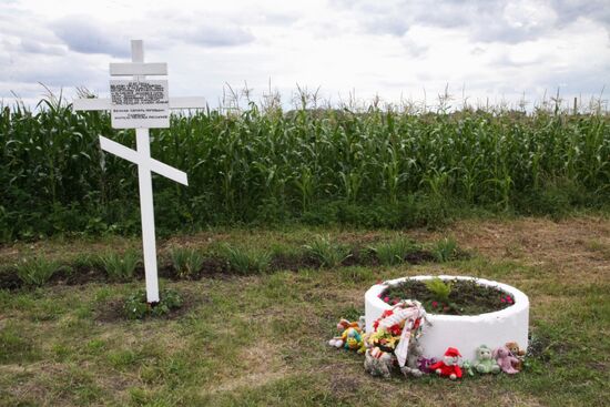 Crash site of Malaysia Airlines Boeing 777