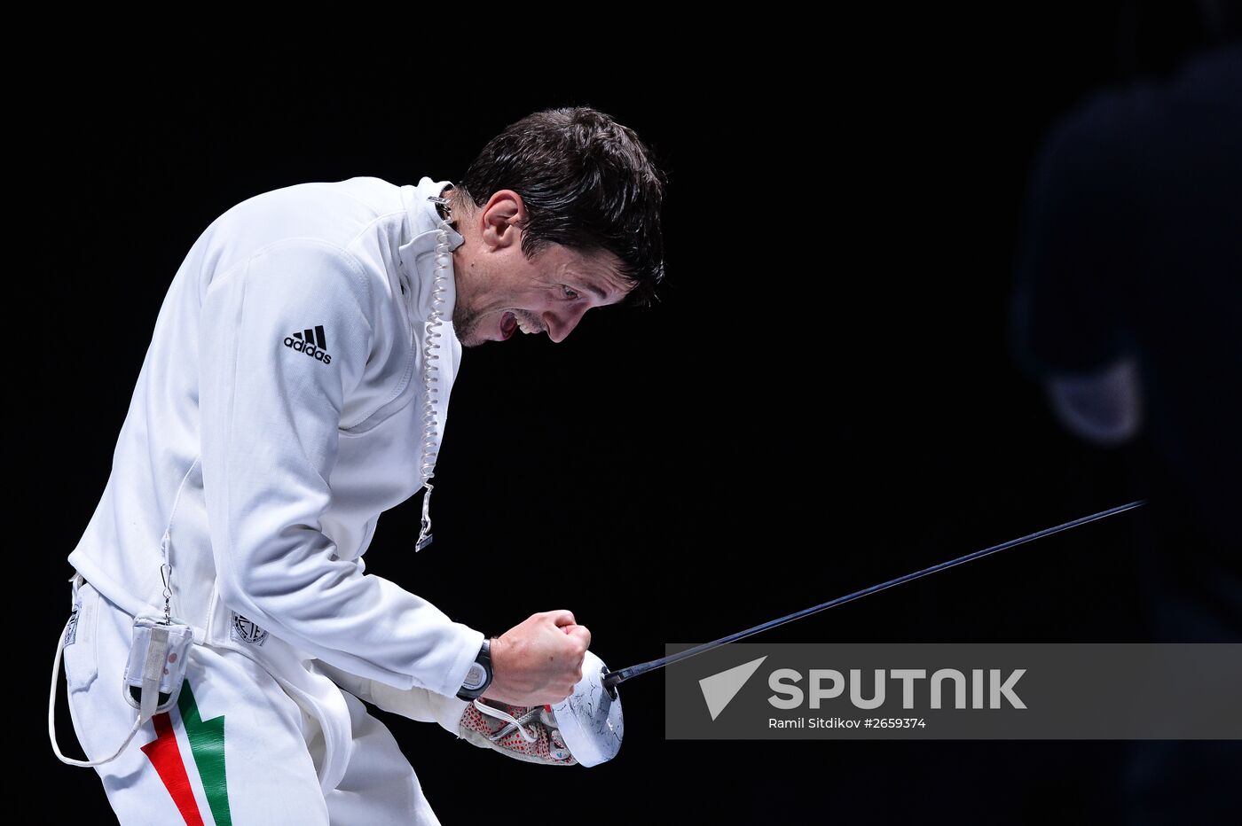 Fencing. World championships. Day Three