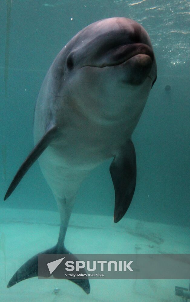 Primorsky Aquarium of Far Eastern Branch of Russian Academy of Sciences