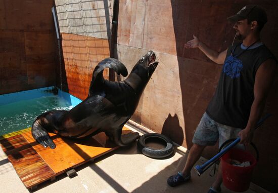 Primorsky Aquarium of Far Eastern Branch of Russian Academy of Sciences