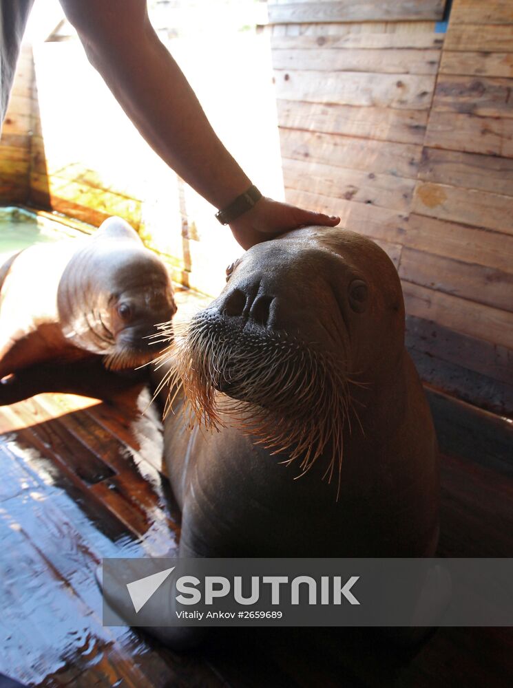 Primorsky Aquarium of Far Eastern Branch of Russian Academy of Sciences