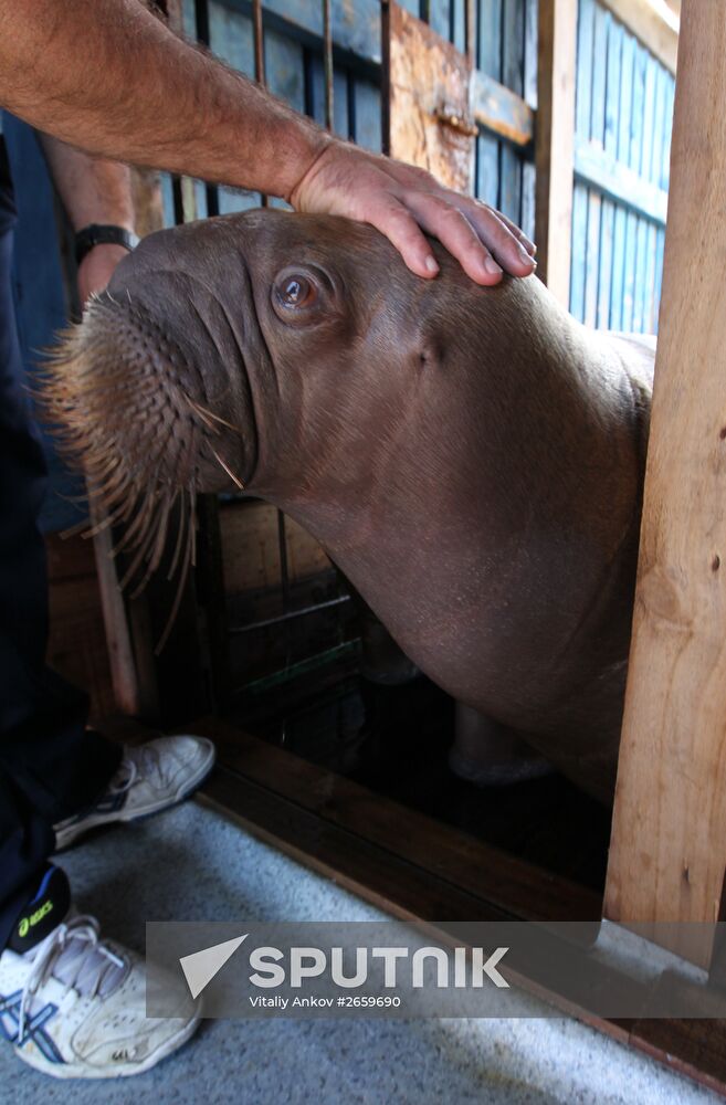 Primorsky Aquarium of Far Eastern Branch of Russian Academy of Sciences