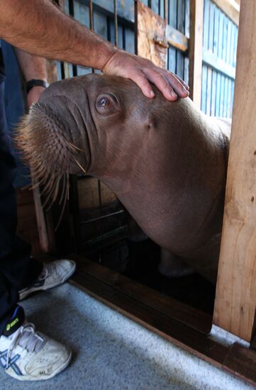Primorsky Aquarium of Far Eastern Branch of Russian Academy of Sciences