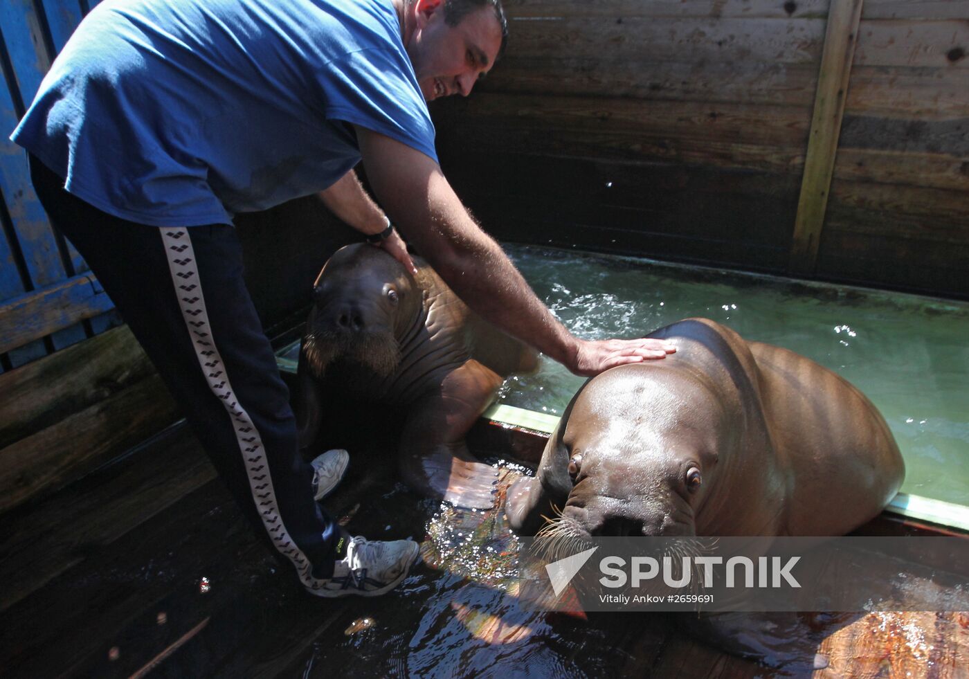 Primorsky Aquarium of Far Eastern Branch of Russian Academy of Sciences