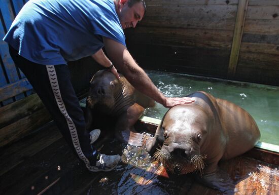 Primorsky Aquarium of Far Eastern Branch of Russian Academy of Sciences