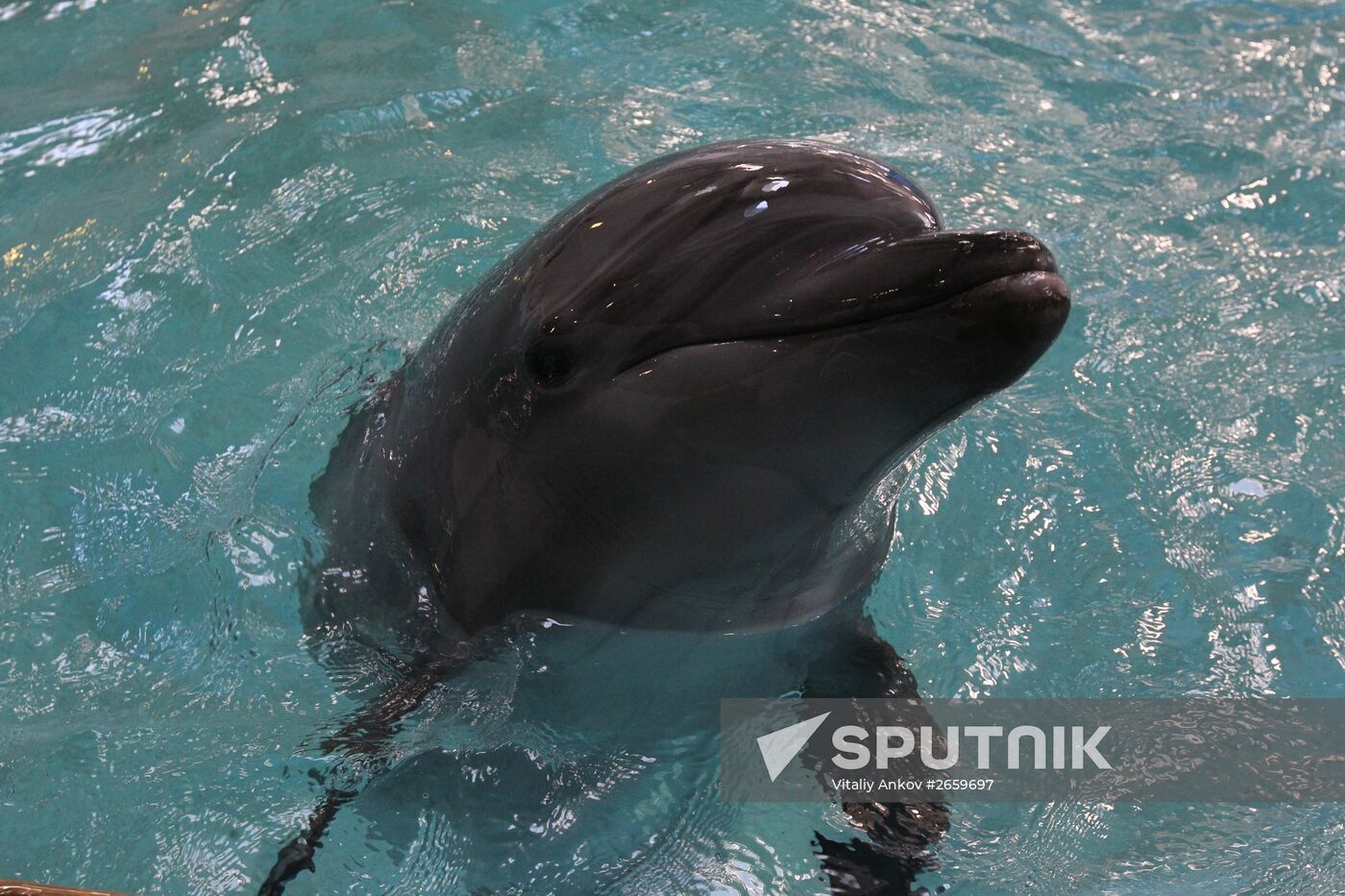Primorsky Aquarium of Far Eastern Branch of Russian Academy of Sciences