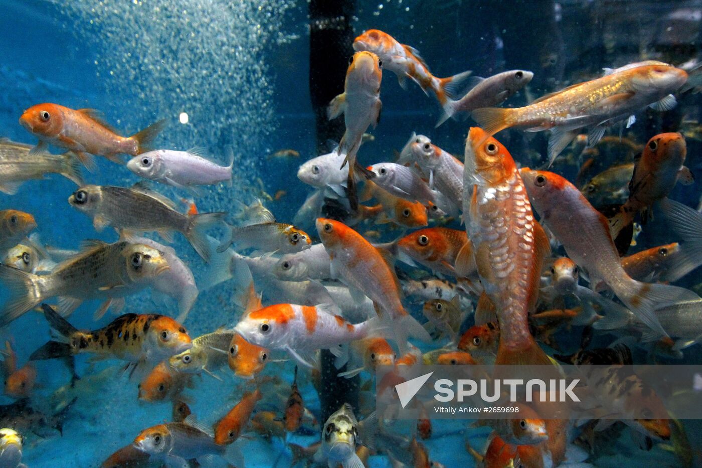 Primorsky Aquarium of Far Eastern Branch of Russian Academy of Sciences