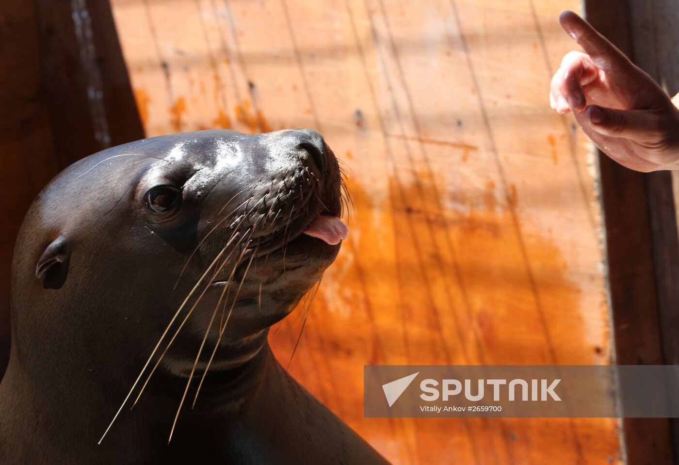 Primorsky Aquarium of Far Eastern Branch of Russian Academy of Sciences