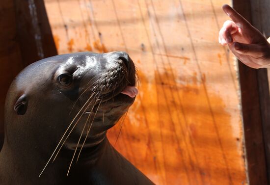 Primorsky Aquarium of Far Eastern Branch of Russian Academy of Sciences