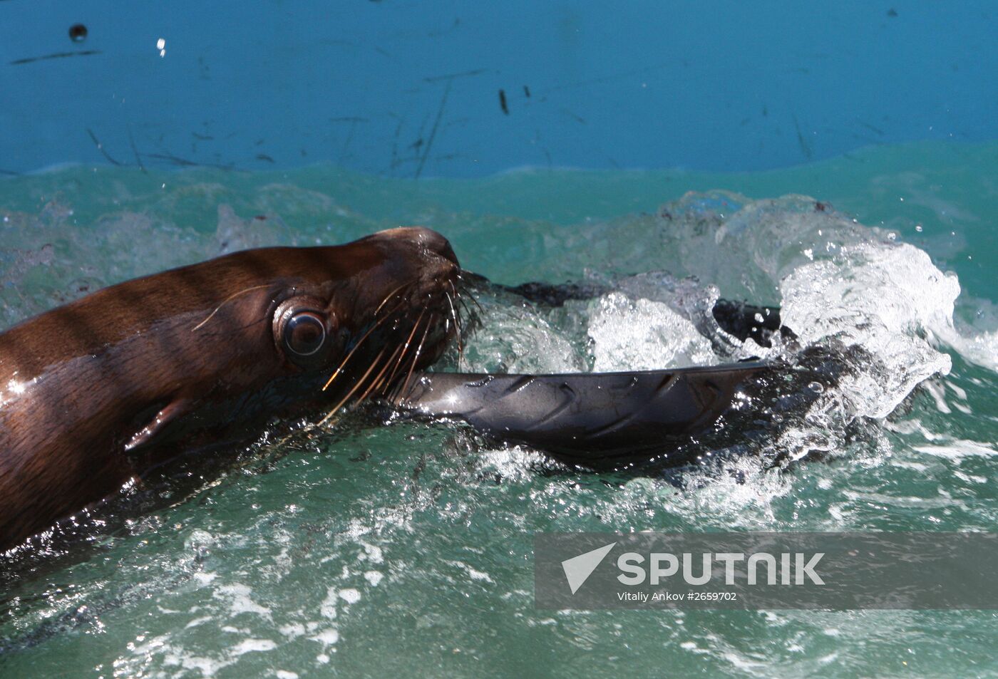 Primorsky Aquarium of Far Eastern Branch of Russian Academy of Sciences