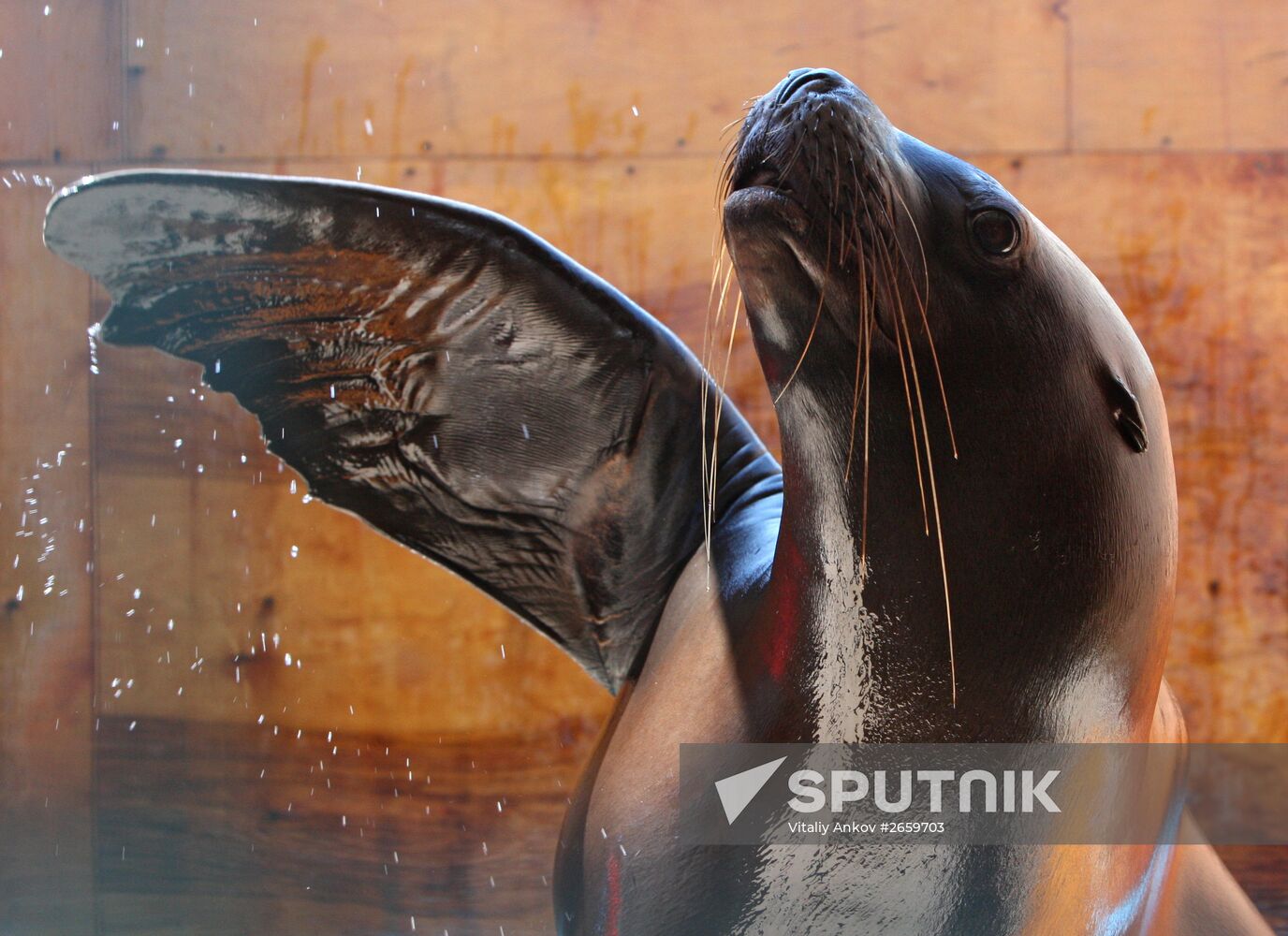 Primorsky Aquarium of Far Eastern Branch of Russian Academy of Sciences