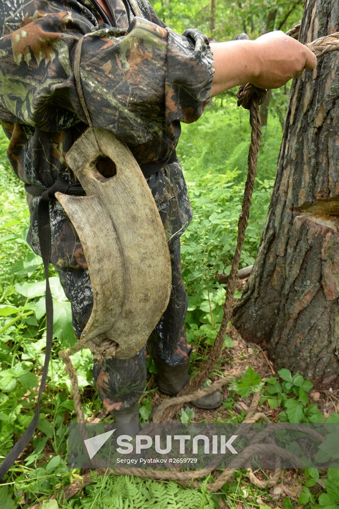 Shulgan-Tash state biosphere reserve in Bashkiria