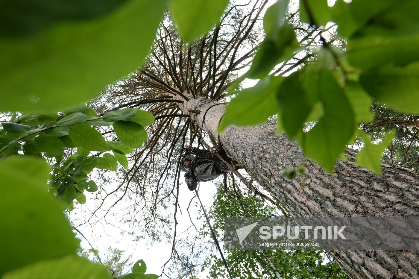 Shulgan-Tash state biosphere reserve in Bashkiria